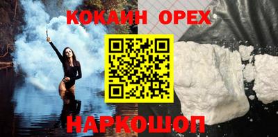 индика Пенза