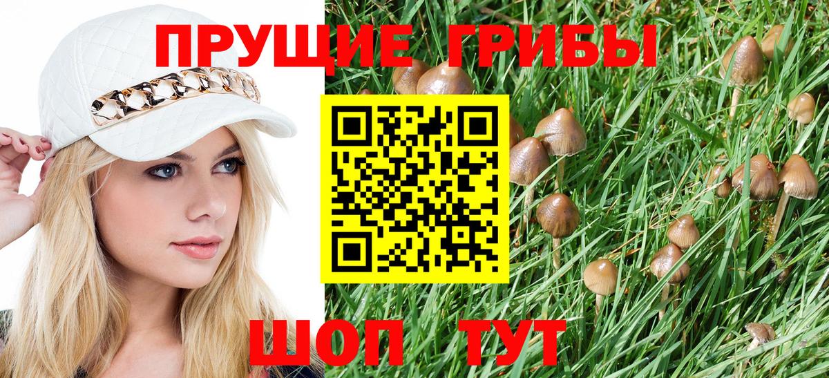 Ангарск  Галлюциногенные грибы Cubensis  Вход с VPN 